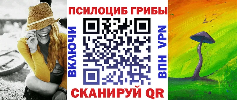 Псилоцибиновые грибы MAGIC MUSHROOMS  Купить  Георгиевск 
